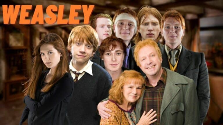 Une étude des différentes caractéristiques des Weasley