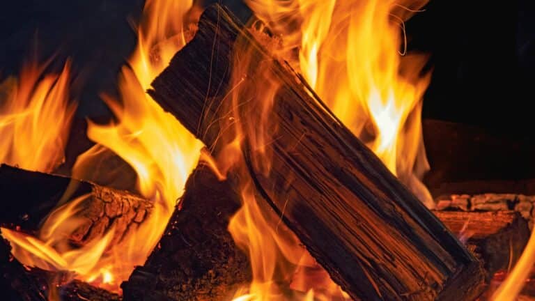 Pourquoi le prix du bois de chauffage augmente ?