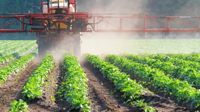 Contamination de l’Eau en France: 30% Affectée par Pesticide Interdit