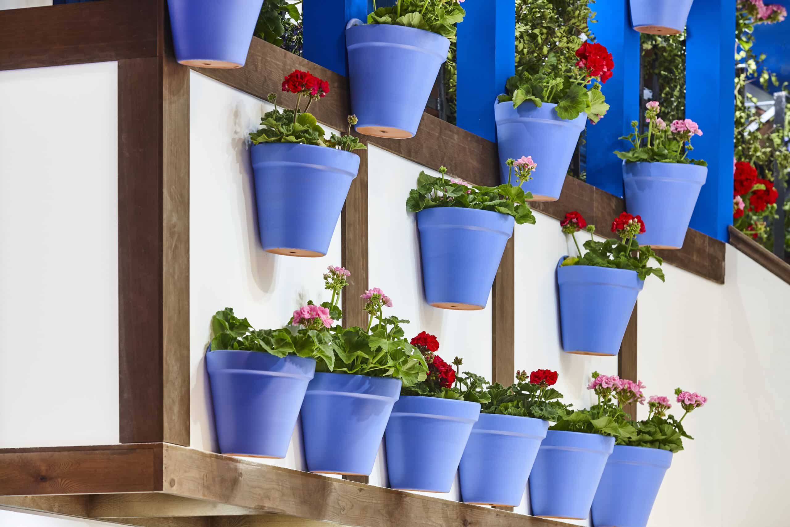 traditional balcony detail with flower pots in blue tone. garden